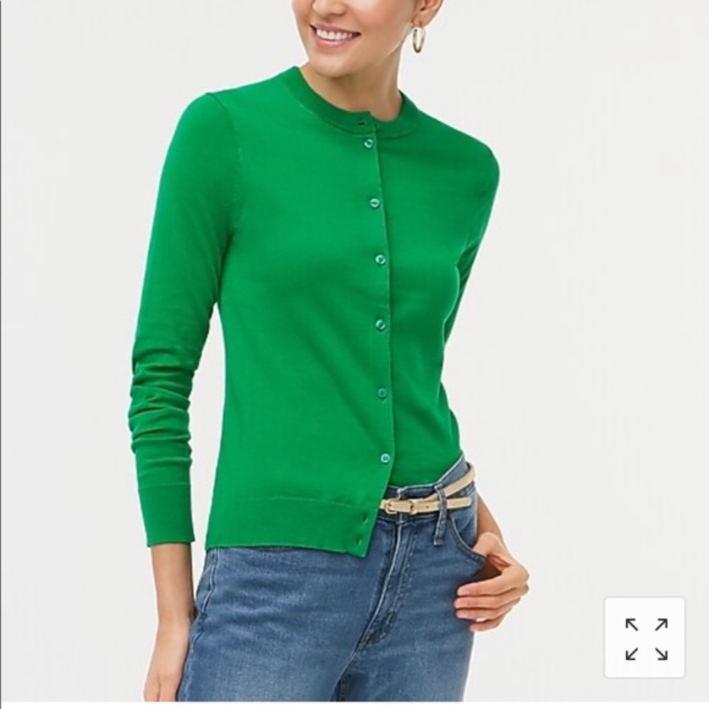 J.Crew Caryn Sweater Cardigan